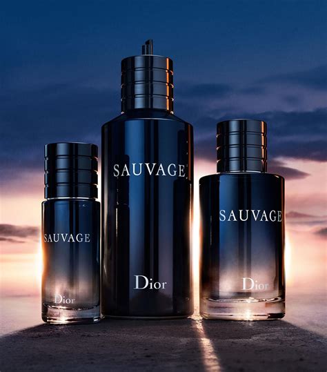 sauvage dior prezzo 100 ml|dior sauvage 200ml price.